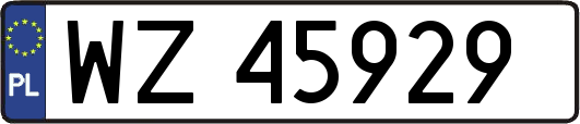 WZ45929