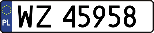 WZ45958