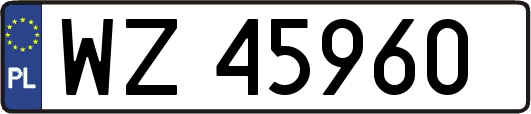 WZ45960