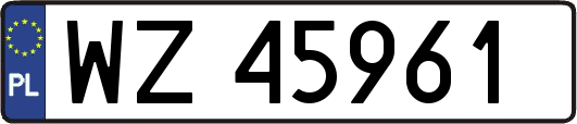 WZ45961