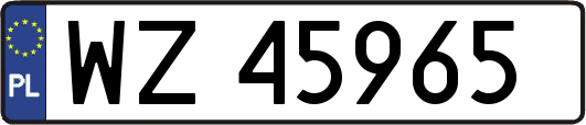 WZ45965