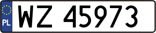 WZ45973