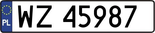 WZ45987
