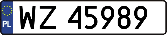 WZ45989