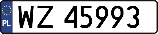 WZ45993