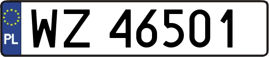 WZ46501