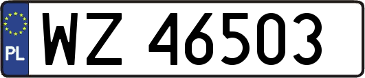 WZ46503