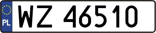 WZ46510