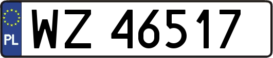 WZ46517