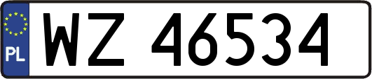 WZ46534