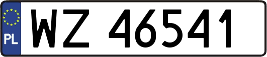 WZ46541