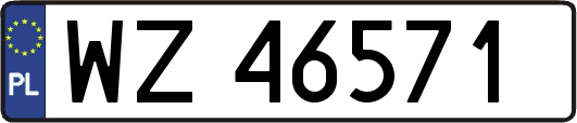 WZ46571