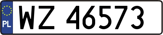 WZ46573