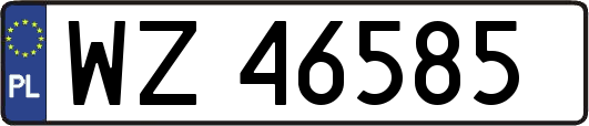 WZ46585