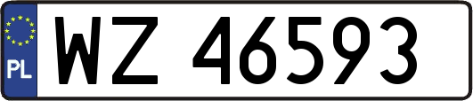 WZ46593