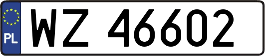 WZ46602