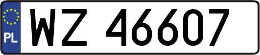 WZ46607