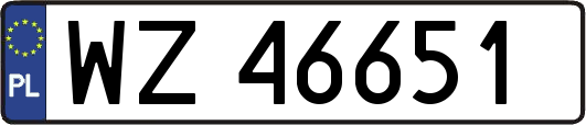 WZ46651