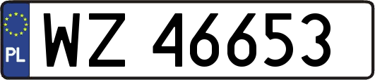 WZ46653