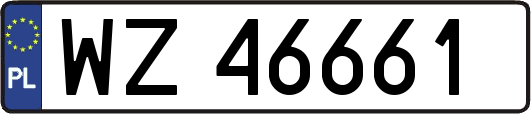 WZ46661