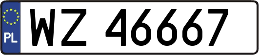 WZ46667