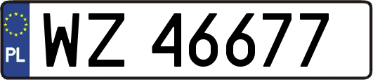WZ46677