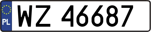 WZ46687