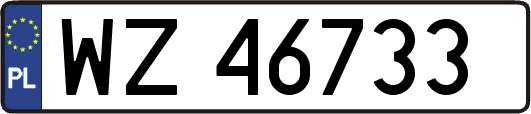 WZ46733