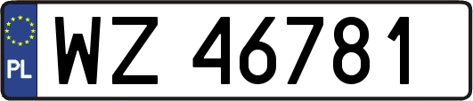WZ46781