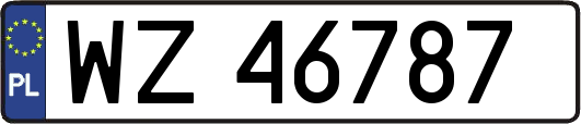 WZ46787
