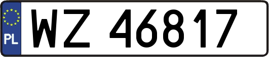 WZ46817