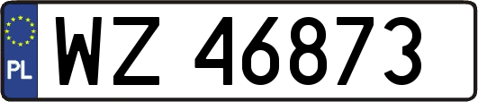 WZ46873
