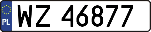 WZ46877