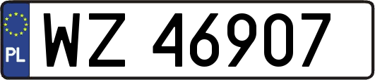 WZ46907