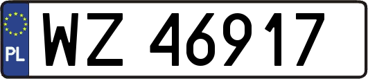 WZ46917