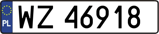 WZ46918