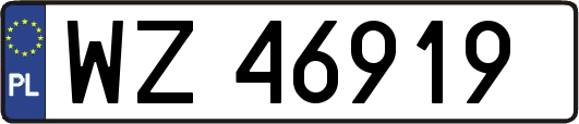 WZ46919