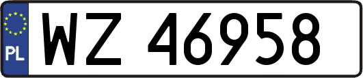 WZ46958
