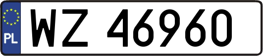 WZ46960