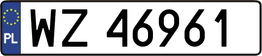 WZ46961
