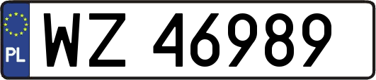 WZ46989