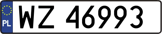 WZ46993
