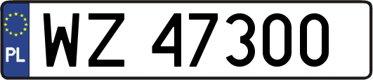 WZ47300