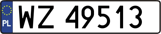 WZ49513