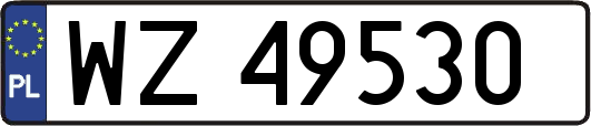 WZ49530