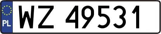 WZ49531
