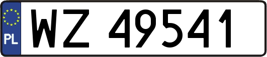 WZ49541