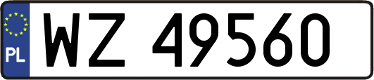 WZ49560
