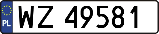 WZ49581