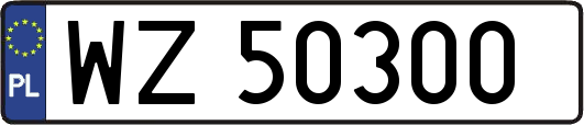 WZ50300